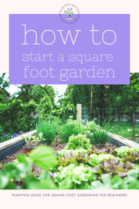 picture of garden bed of lettuces and chives and text How to Start a Square Foot Garden Planting Guide